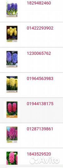 Луковицы тюльпанов, лилий, декоративных луков