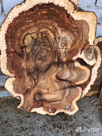 Слебы спилы