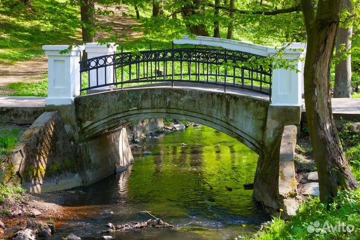 Экскурсия — Калининград — Привет, Калининград