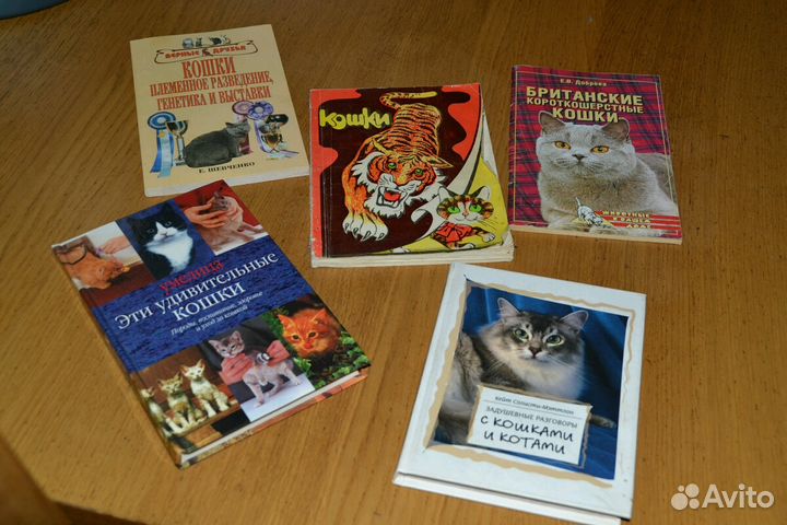 Книги о кошках
