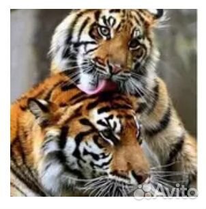 Алмазная вышивка набор 