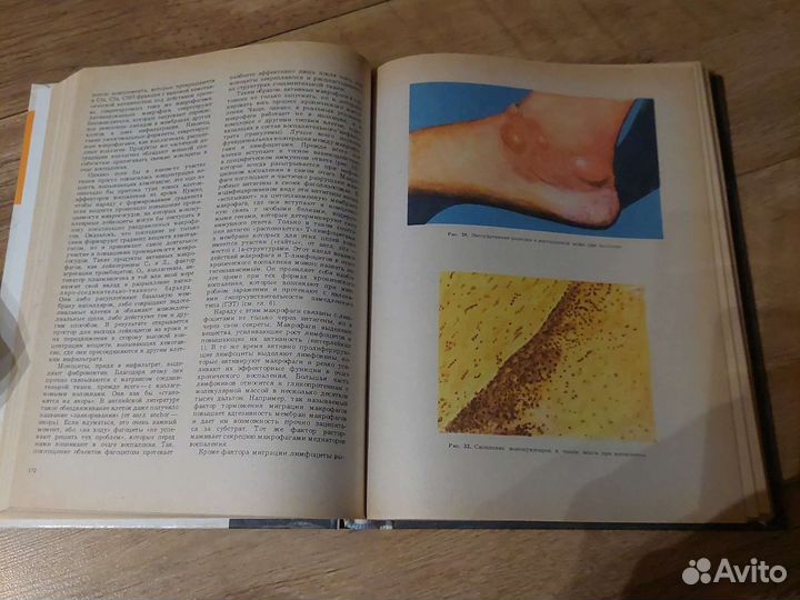 Адо А.Д. Новицкий В.В. Патологическая физиология