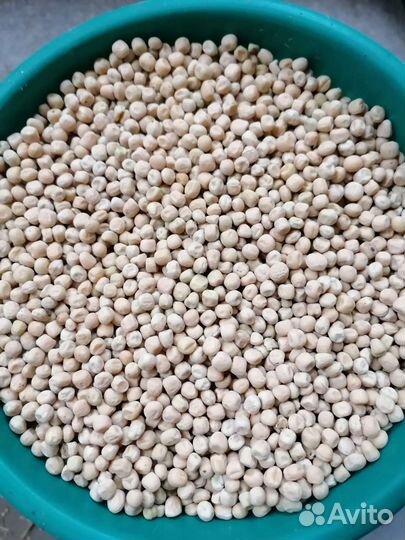 Кукуруза, Горох