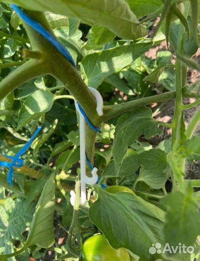 Кистедержатель