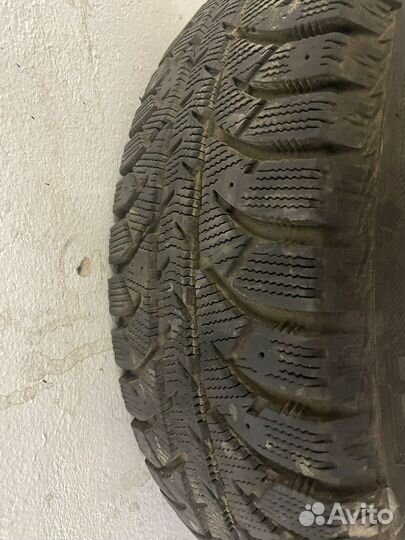 Accelera Iota 175/65 R14