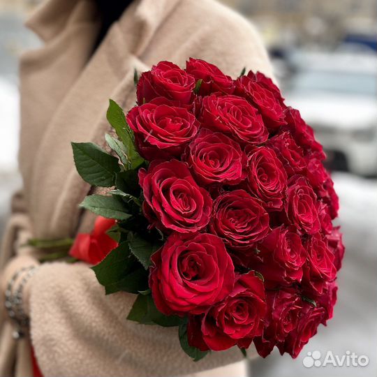 Роза 25,51,101,151,350,бесплатная доставка