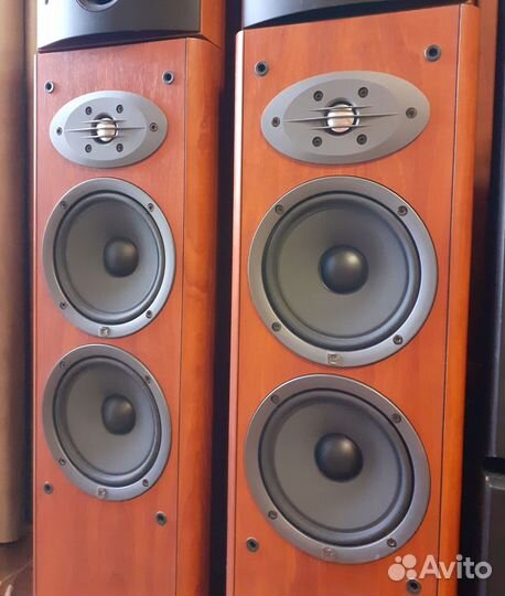 JBL N28,Celestion F28,Электроника 25ас,B&W 302