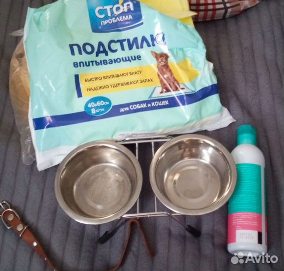 Принадлежности для собак