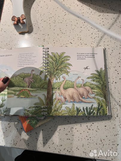 Книги с окошками динозавры и кошки