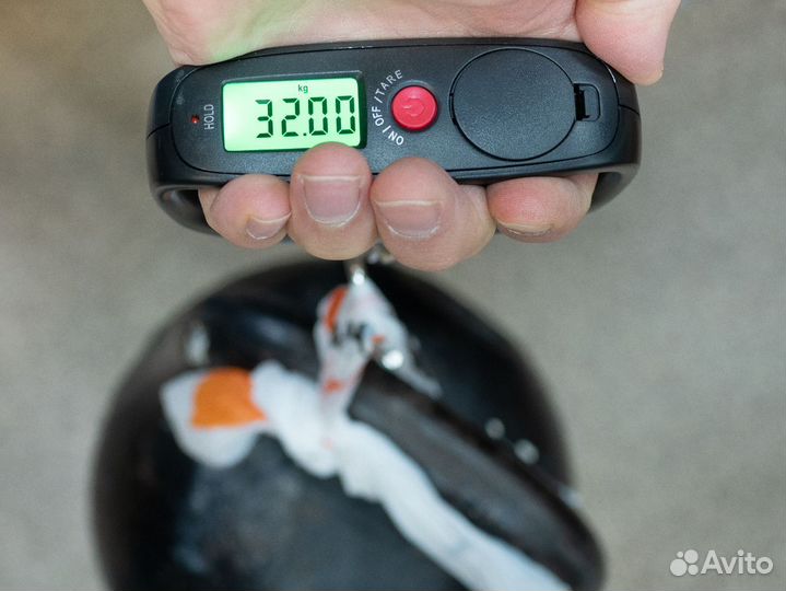 Весы для взвешивания улова