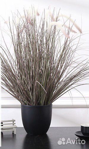 Осока искуственная