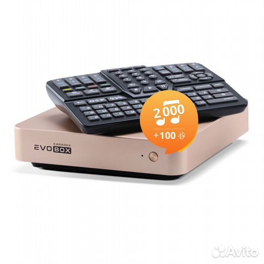 Караоке система EvoBox (Новая)