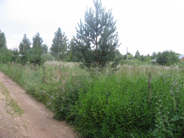 Участок 24 сот. (СНТ, ДНП)