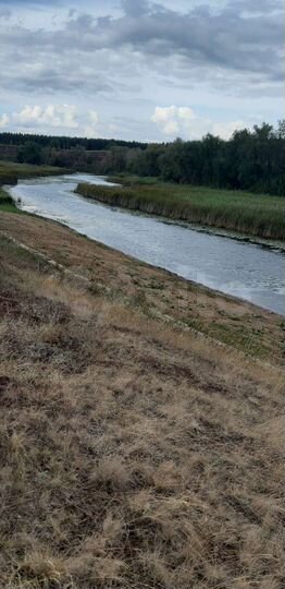 Участок 9 сот. (СНТ, ДНП)