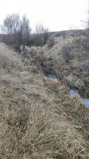 Участок 8,5 сот. (СНТ, ДНП)