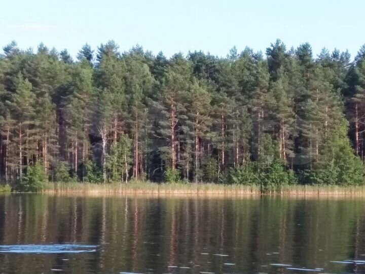 Участок 10 сот. (ИЖС)