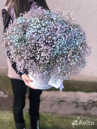 Радужная гипсофила, цветы, букет