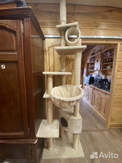 Домик когтеточка