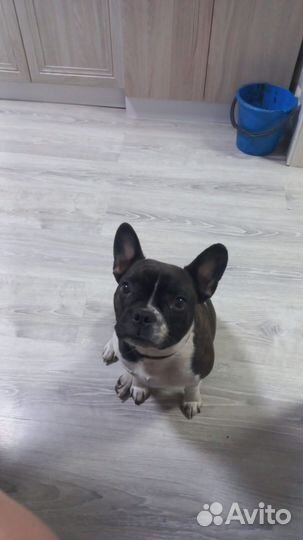 Ищу кабеля для вязки