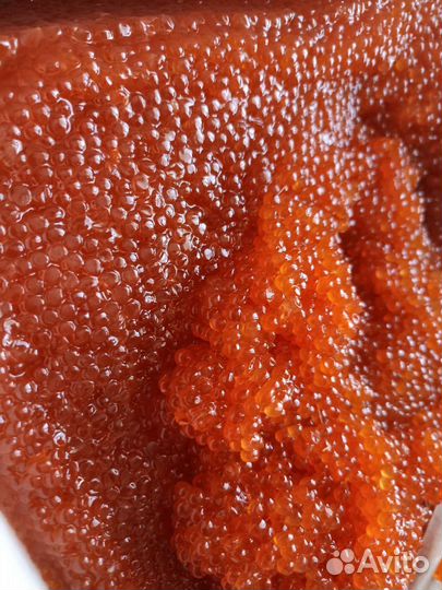 Красная икра 2023