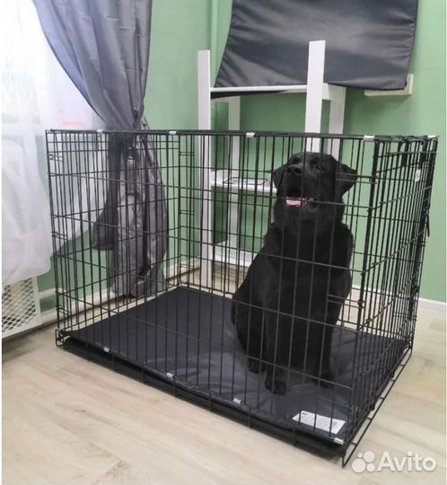 Клетка для собак Бесплатная доставка