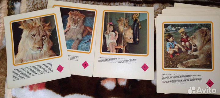 Комплект фото Гусейна-заде В Гостях У Берберовых