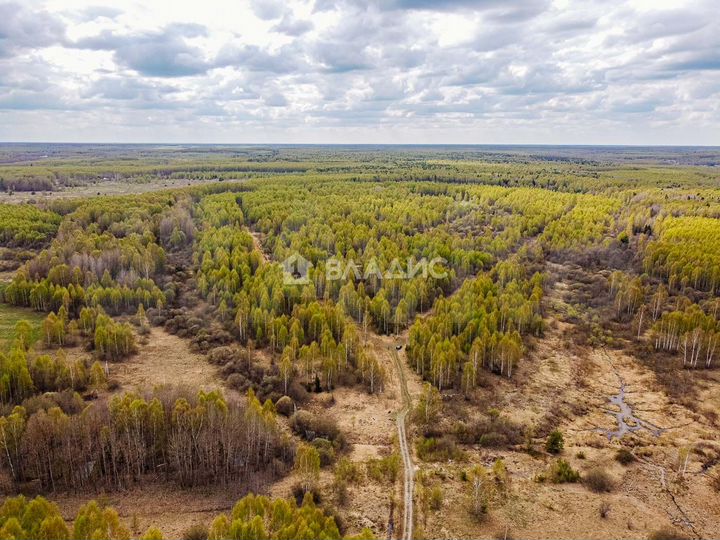 Участок 34,65 га (СНТ, ДНП)