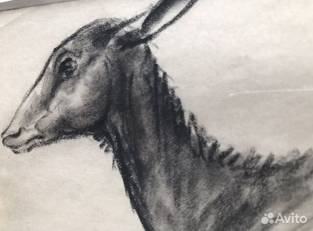 Рисунок с оленем/ Étude DE biche