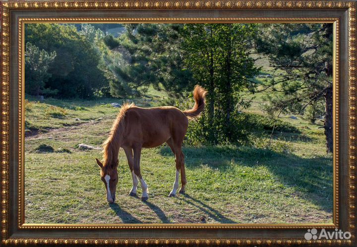 Фотокартина