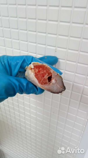 Омуль (вся северная рыба) Хол.копч. от производит