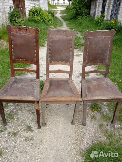 Стулья дубовые 19 века дубовые