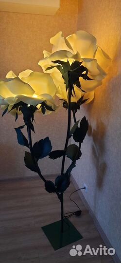 Цветы т о р ш е р