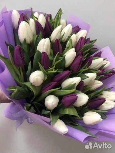 Тюльпаны к 8 марта