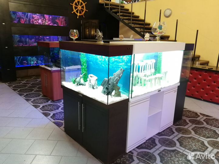 Аквариумы любых размеров