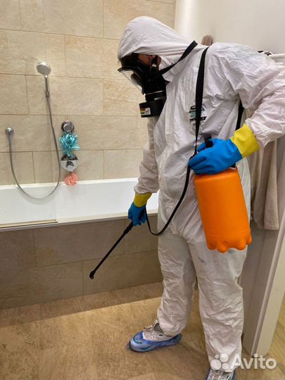 Обработка от клещей Уничтожение клопов Дезинфекция