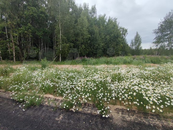 Участок 6 сот. (ИЖС)