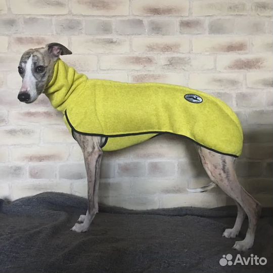 Одежда для собак