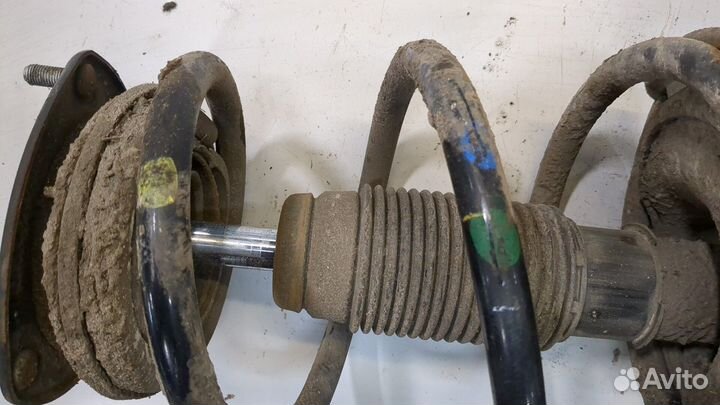 Амортизатор подвески правый передний Hyundai H-1 Starex