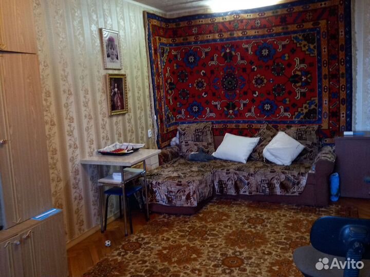 Передержка кошек