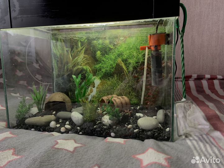 Аквариум для рыб б/у