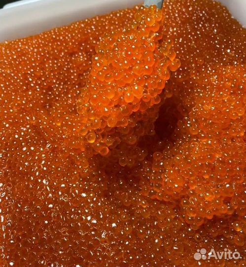 Красная икра кижуча от производителя