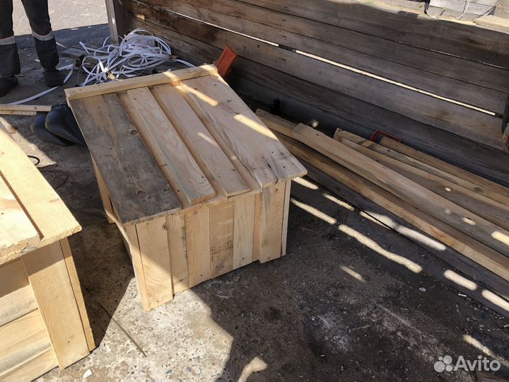 Собачья будка