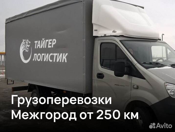 Грузоперевозки 10 тонн