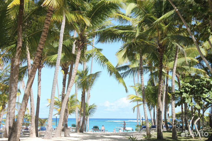 Египет 5* из Омска