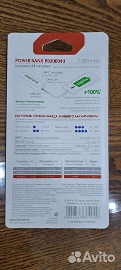 Powerbank 3000