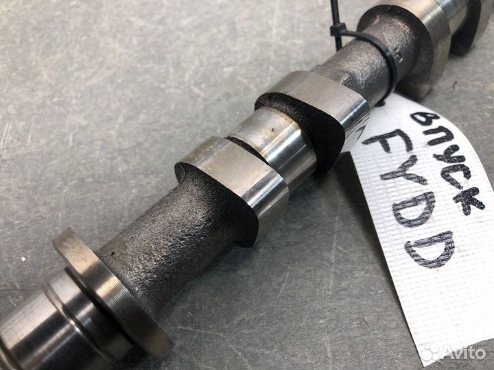 Распредвал впускной Ford Focus DNW fydd 2001