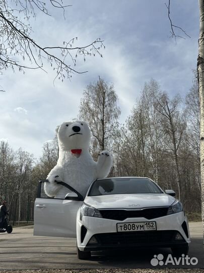 Поздравление медведь