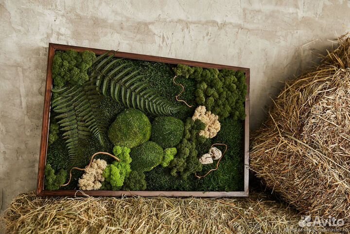 Фито картины