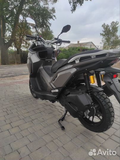 Макси. Новый