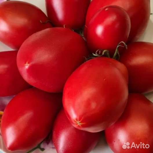 Томат Царский семена